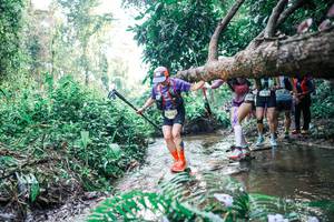 BIB: 
                            <button type="button" onclick="openModal(25456397)" class="btn btn-primary btn-sm float-right btn-popup" data-toggle="modal" data-target=".modal-high-quality">
                        <i class="fas fa-shopping-cart"></i> Add to Cart
                    </button>
                                            <button type="button" onclick="isThisMe(25456397, true)" class="btn btn-success btn-sm float-right btn-popup btn-isme hidden" data-toggle="tooltip" data-placement="bottom" title="นี่คือรูปของคุณใช่ไหม คลิกที่นี่เพื่อเอาเข้าอัลบั้ม">
                        <i class="fas fa-plus"></i> Add to album
                    </button>
                    <button type="button" onclick="isThisMe(25456397, false)" class="btn btn-warning btn-sm float-right btn-popup btn-isnotme hidden">
                        <i class="fas fa-ban"></i> Remove from album
                    </button>